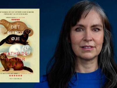 "Det blinde øje" af Mathilde Walter Clark