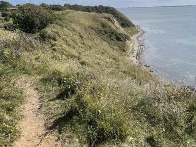 Vandresti ved havet