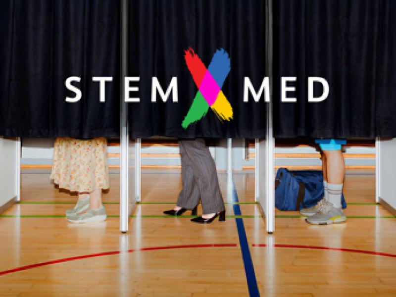 stemmebokse