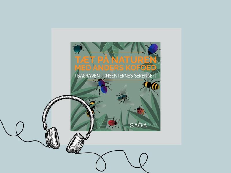 Cover til podcasten ‘Tæt på naturen med Anders Kofoed’ med små insekter på grøn baggrund.