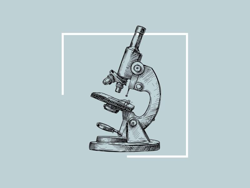 Stregtegning af mikroskop