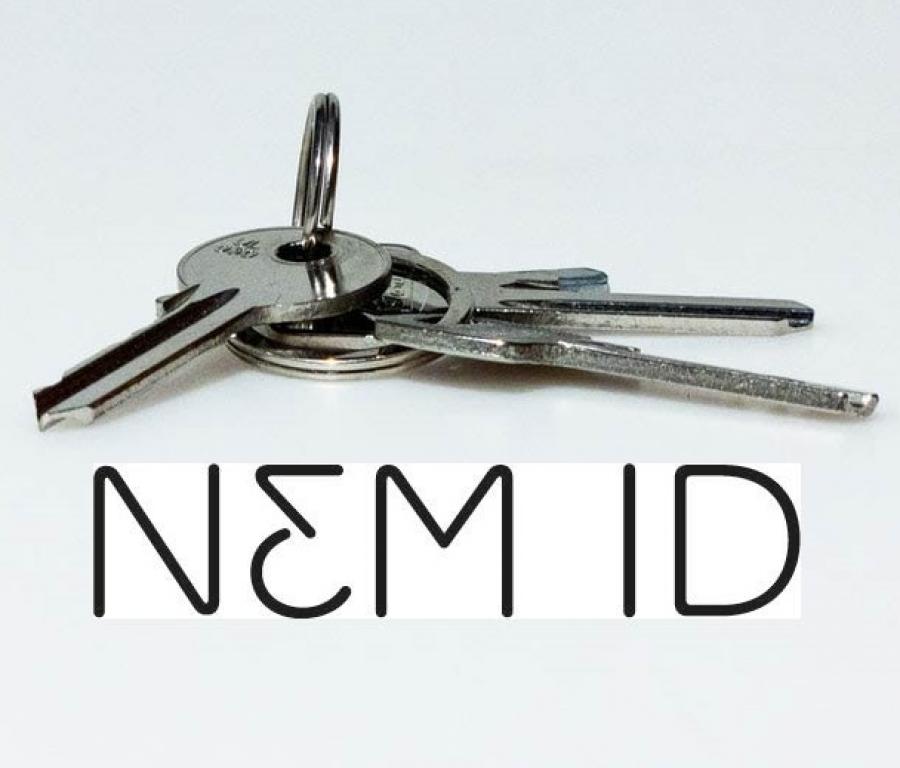 Nøgler og NemID logo